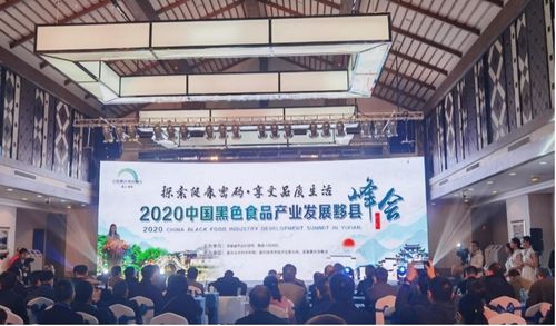 2020中國黑色食品產(chǎn)業(yè)發(fā)展黟縣峰會(huì)成功舉辦 推動(dòng)產(chǎn)業(yè)創(chuàng)新與數(shù)字化轉(zhuǎn)型